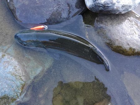 １投目で６６ｃｍ